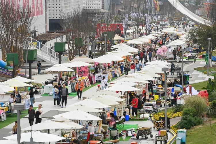 重庆:集市热起来 消费旺起来